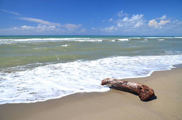 Il litorale nei pressi di Nodica e della Marina di Vecchiano